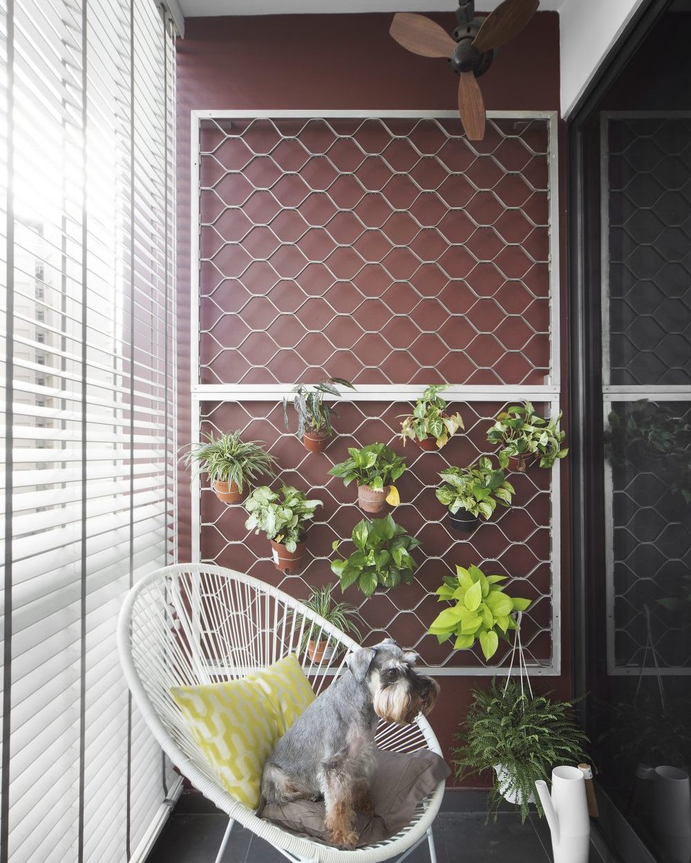 A wire mesh grid holds a hanging garden of potted plants against a deep red accent wall, with a rattan chair for the family dog.